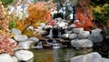 wallpapers (2).jpeg