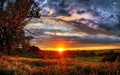wallpapers (5).jpg