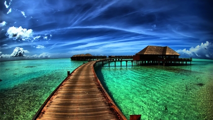 wallpapers (19).jpg